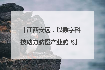 江西安远：以数字科技助力脐橙产业腾飞