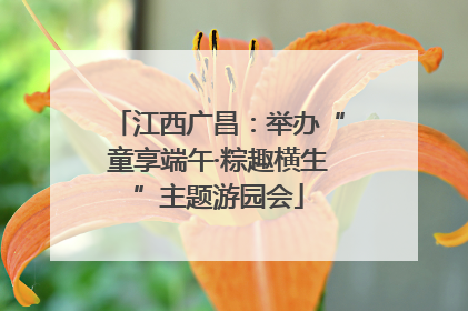 江西广昌：举办“童享端午·粽趣横生”主题游园会