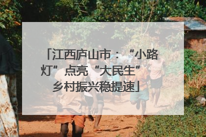江西庐山市：“小路灯”点亮“大民生” 乡村振兴稳提速