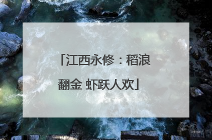 江西永修：稻浪翻金 虾跃人欢