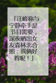 汪峰称与宁静牵手是节目需要，深夜晒出女友森林北合照：我俩好着呢！
