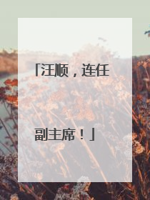汪顺，连任副主席！
