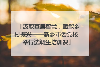 汲取基层智慧，赋能乡村振兴——新乡市委党校举行选调生培训课
