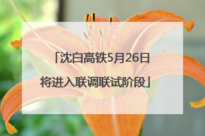 沈白高铁5月26日将进入联调联试阶段