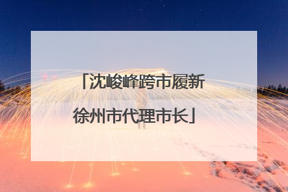 沈峻峰跨市履新徐州市代理市长