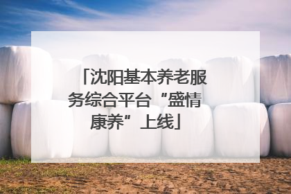 沈阳基本养老服务综合平台“盛情康养”上线
