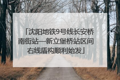 沈阳地铁9号线长安桥南街站—新立堡桥站区间右线盾构顺利始发