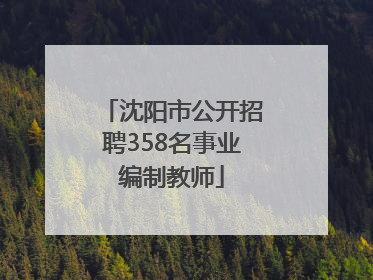 沈阳市公开招聘358名事业编制教师