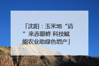 沈阳：玉米地“请”来赤眼蜂 科技赋能农业助绿色增产
