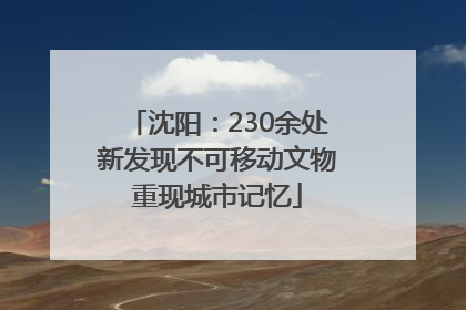 沈阳：230余处新发现不可移动文物重现城市记忆