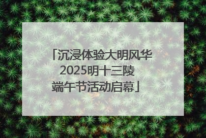 沉浸体验大明风华 2025明十三陵端午节活动启幕