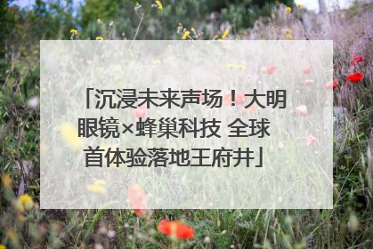 沉浸未来声场！大明眼镜×蜂巢科技 全球首体验落地王府井