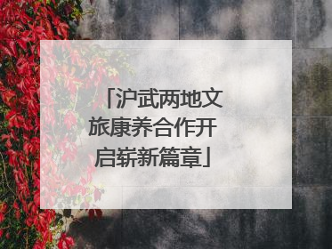 沪武两地文旅康养合作开启崭新篇章