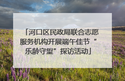 河口区民政局联合志愿服务机构开展端午佳节“乐龄守望”探访活动