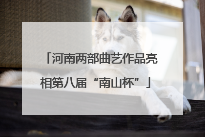 河南两部曲艺作品亮相第八届“南山杯”