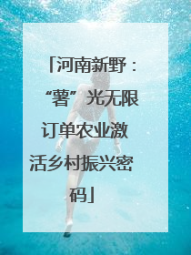 河南新野：“薯”光无限 订单农业激活乡村振兴密码