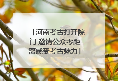 河南考古打开院门 邀请公众零距离感受考古魅力