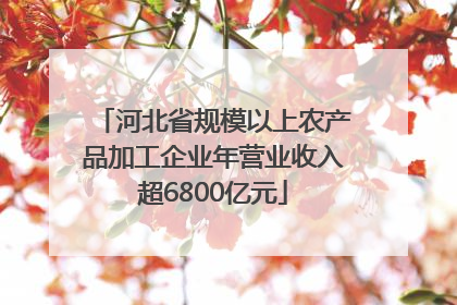 河北省规模以上农产品加工企业年营业收入超6800亿元