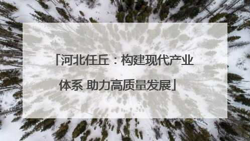 河北任丘：构建现代产业体系 助力高质量发展