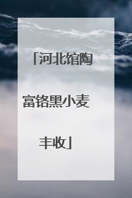河北馆陶富铬黑小麦丰收