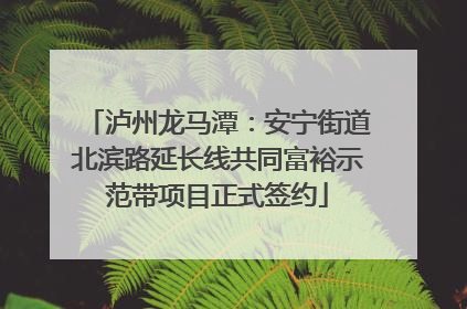 泸州龙马潭：安宁街道北滨路延长线共同富裕示范带项目正式签约