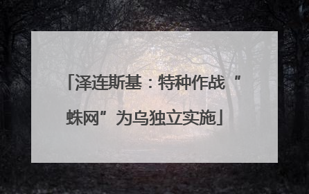 泽连斯基：特种作战“蛛网”为乌独立实施