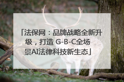 法保网：品牌战略全新升级，打造 G-B-C全场景AI法律科技新生态