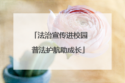 法治宣传进校园 普法护航助成长