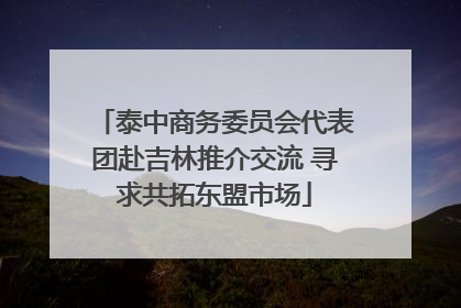 泰中商务委员会代表团赴吉林推介交流 寻求共拓东盟市场