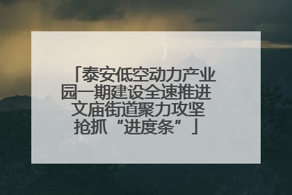 泰安低空动力产业园一期建设全速推进 文庙街道聚力攻坚抢抓“进度条”