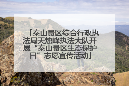 泰山景区综合行政执法局天烛峰执法大队开展“泰山景区生态保护日”志愿宣传活动