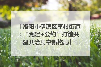 洛阳市伊滨区李村街道：“党建+公约”打造共建共治共享新格局