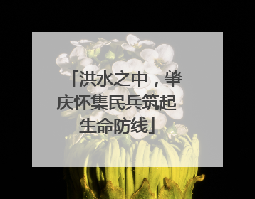 洪水之中，肇庆怀集民兵筑起生命防线