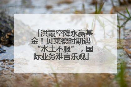洪霞空降永赢基金！贝莱德时期遇“水土不服”，国际业务难言乐观