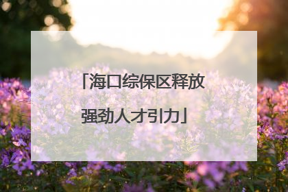 海口综保区释放强劲人才引力