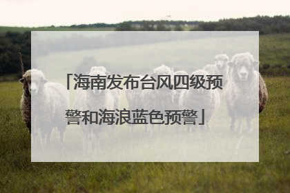 海南发布台风四级预警和海浪蓝色预警
