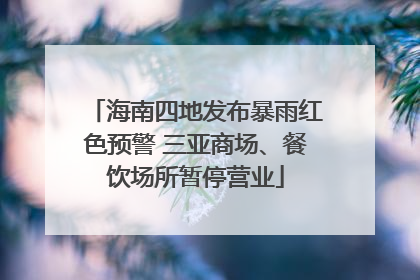 海南四地发布暴雨红色预警 三亚商场、餐饮场所暂停营业