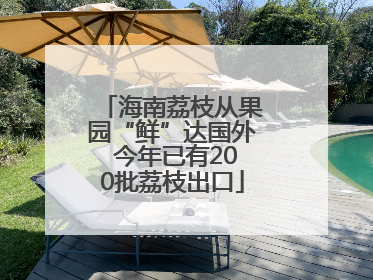 海南荔枝从果园“鲜”达国外 今年已有200批荔枝出口