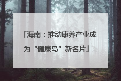 海南：推动康养产业成为“健康岛”新名片