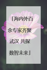 海内外百余专家齐聚武汉 共探数智未来