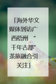 海外华文媒体到访广西梧州 “千年古郡”茶旅融合引关注