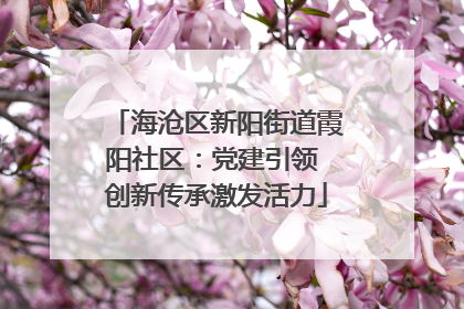 海沧区新阳街道霞阳社区：党建引领 创新传承激发活力