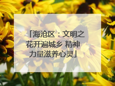 海沧区：文明之花开遍城乡 精神力量滋养心灵