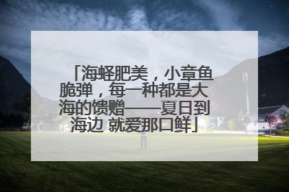 海蛏肥美，小章鱼脆弹，每一种都是大海的馈赠——夏日到海边 就爱那口鲜