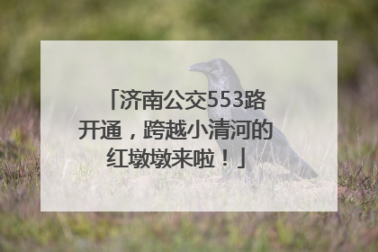 济南公交553路开通，跨越小清河的红墩墩来啦！