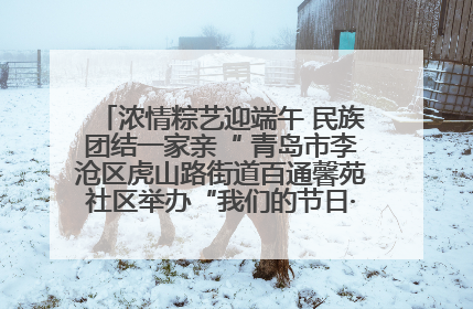 浓情粽艺迎端午 民族团结一家亲“ 青岛市李沧区虎山路街道百通馨苑社区举办“我们的节日·端午“主题活动