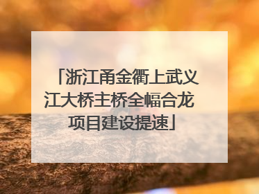 浙江甬金衢上武义江大桥主桥全幅合龙 项目建设提速