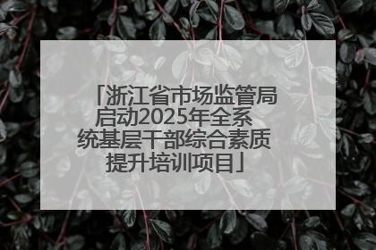 浙江省市场监管局启动2025年全系统基层干部综合素质提升培训项目