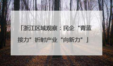 浙江区域观察：民企“青蓝接力”折射产业“向新力”