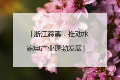 浙江慈溪：推动水家电产业蓬勃发展